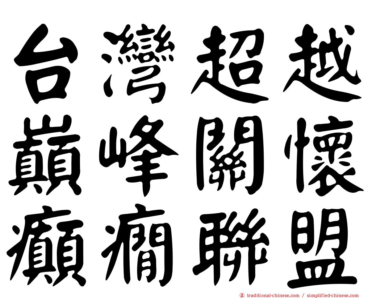 台灣超越巔峰關懷癲癇聯盟