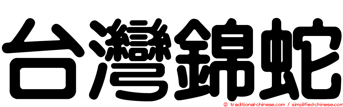 台灣錦蛇