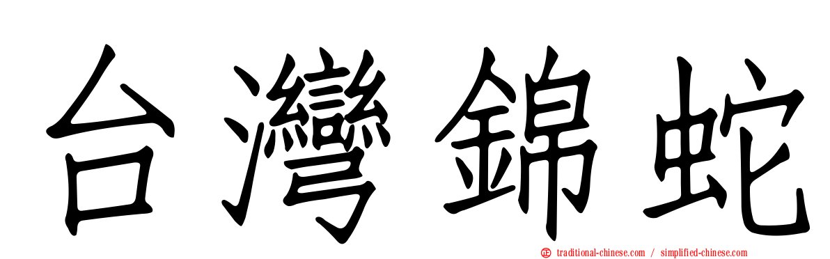 台灣錦蛇