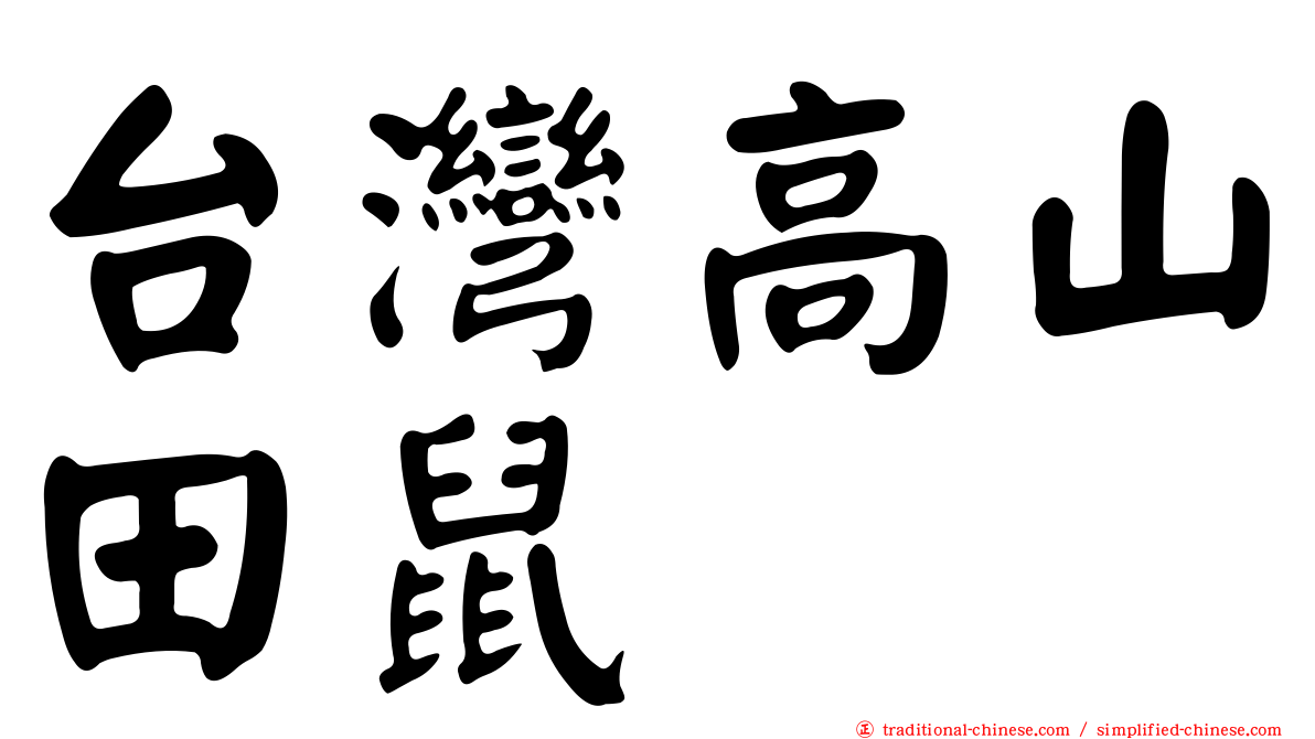 台灣高山田鼠