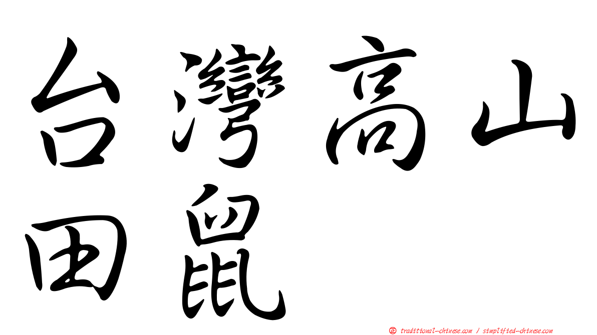 台灣高山田鼠
