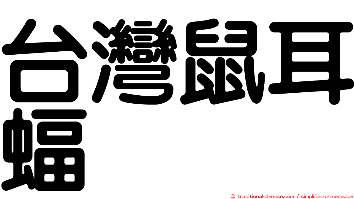 台灣鼠耳蝠