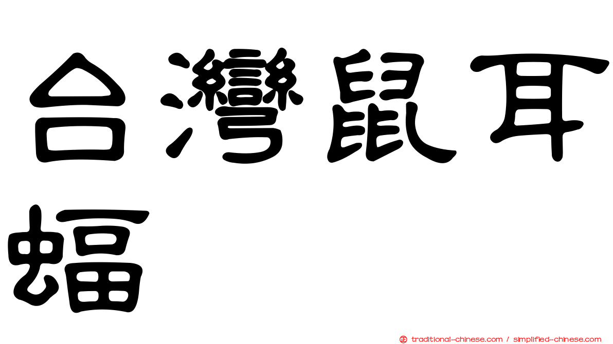 台灣鼠耳蝠