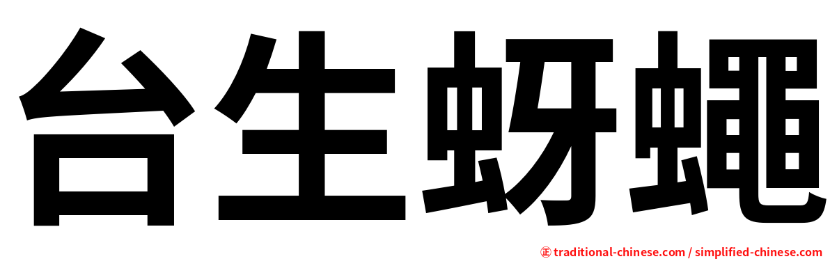 台生蚜蠅