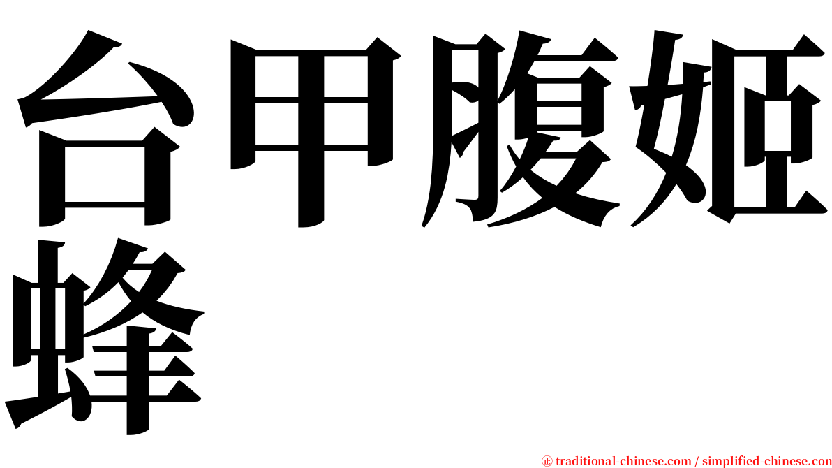 台甲腹姬蜂 serif font