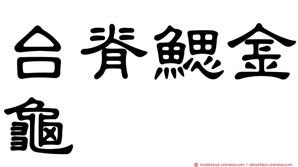 台脊鰓金龜