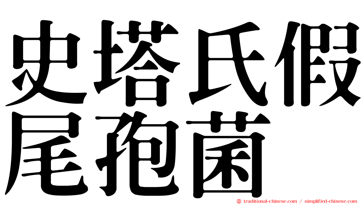 史塔氏假尾孢菌