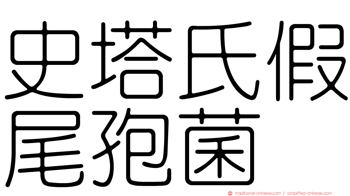 史塔氏假尾孢菌