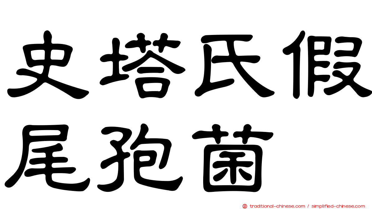 史塔氏假尾孢菌