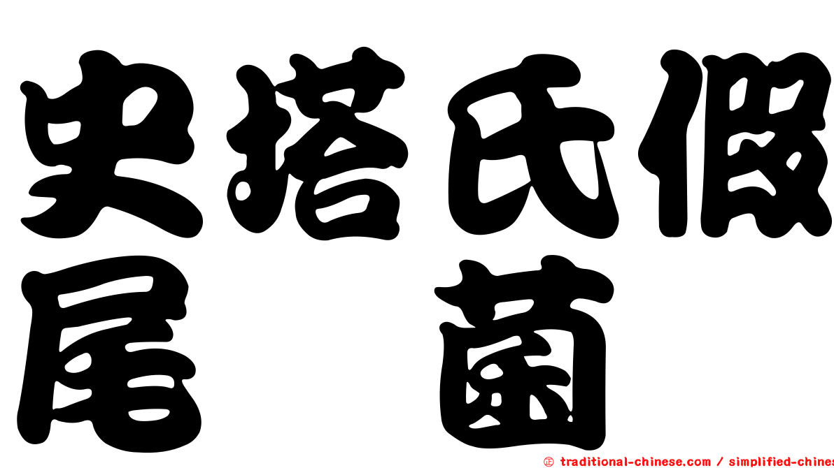 史塔氏假尾孢菌
