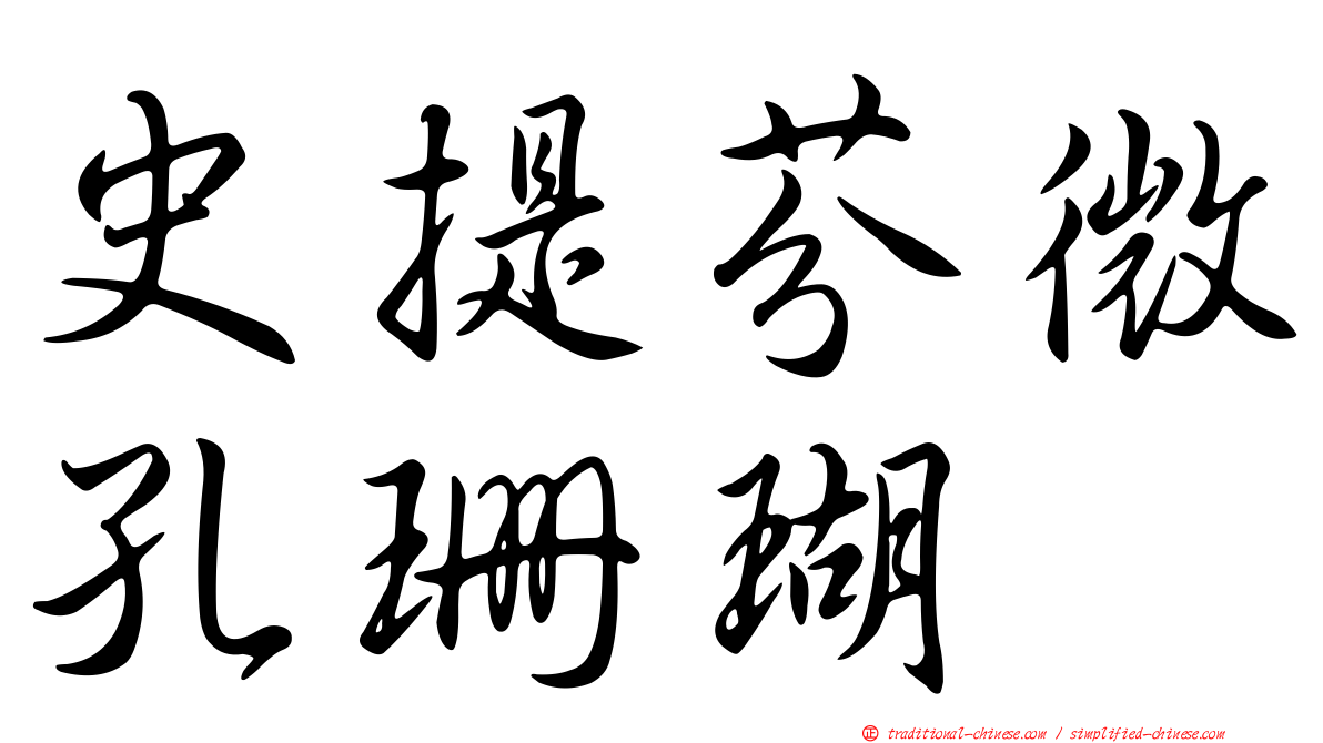 史提芬微孔珊瑚