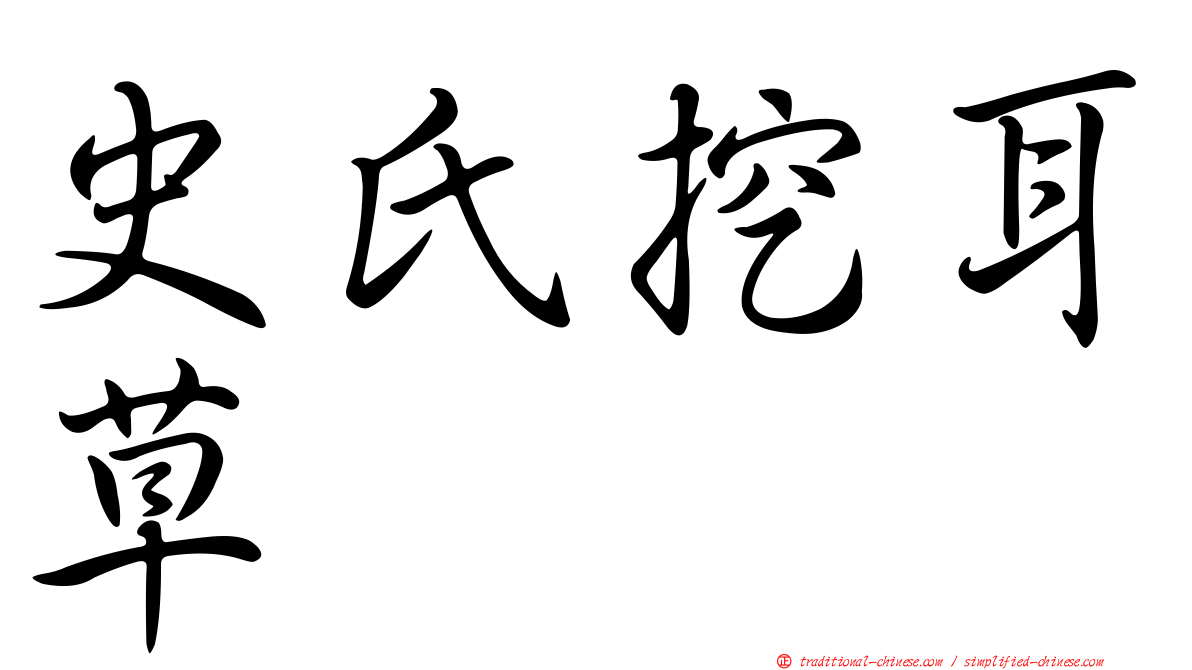 史氏挖耳草