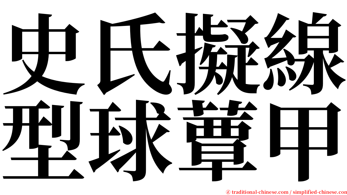 史氏擬線型球蕈甲 serif font