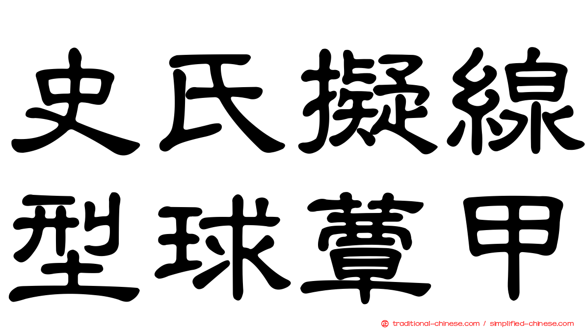 史氏擬線型球蕈甲
