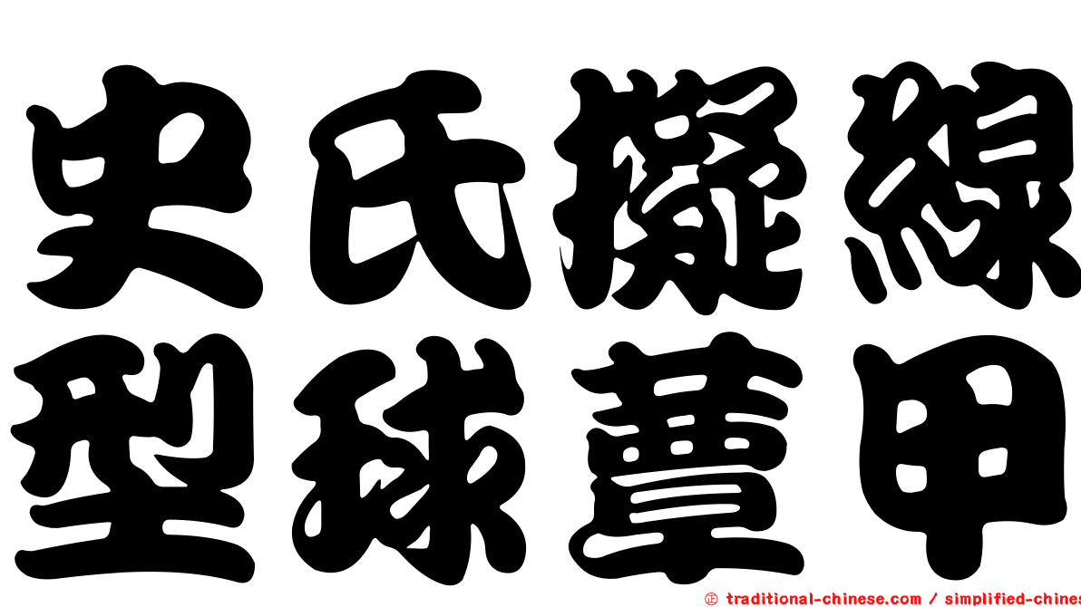 史氏擬線型球蕈甲