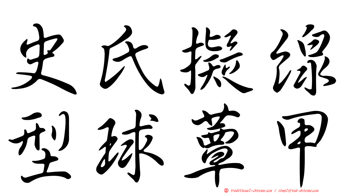 史氏擬線型球蕈甲