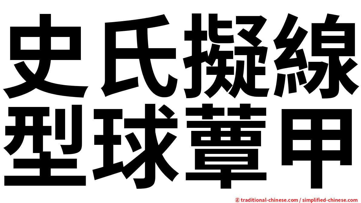 史氏擬線型球蕈甲