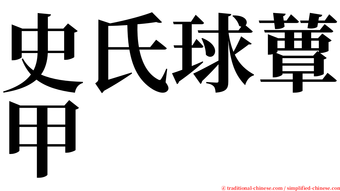 史氏球蕈甲 serif font