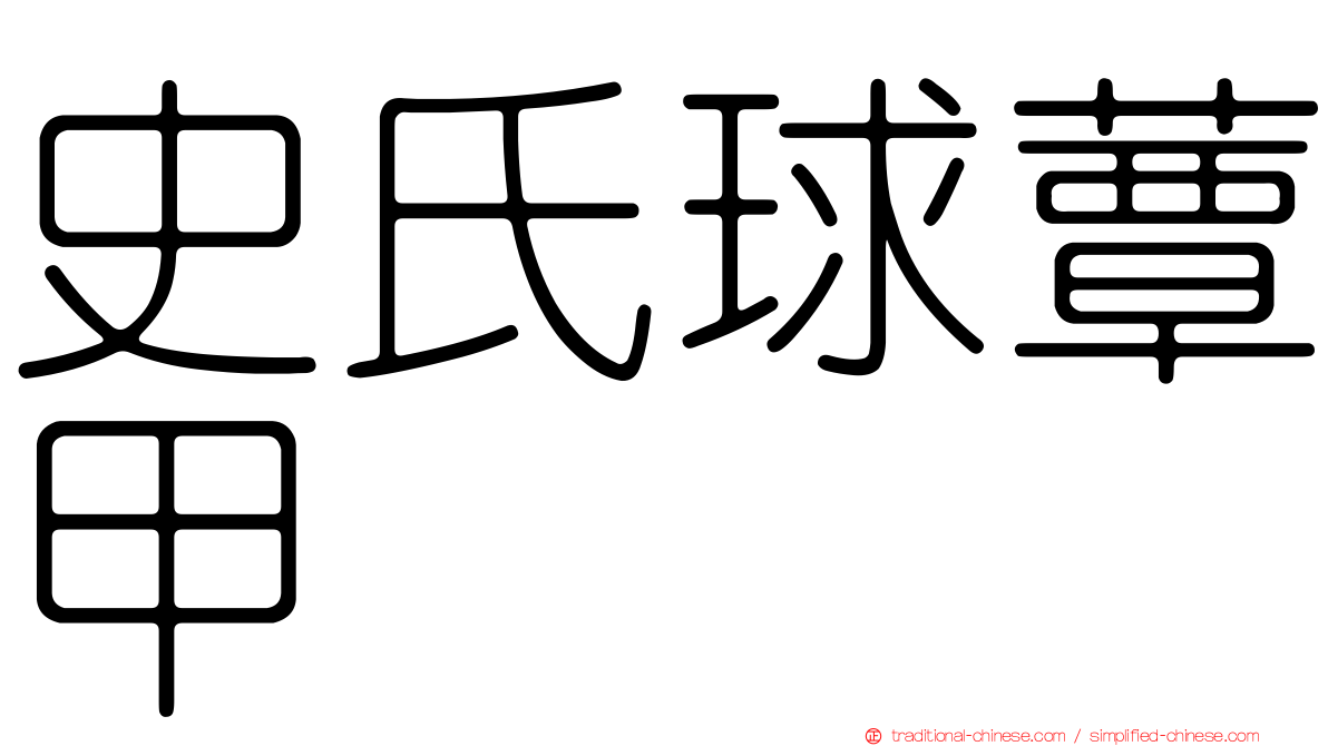 史氏球蕈甲
