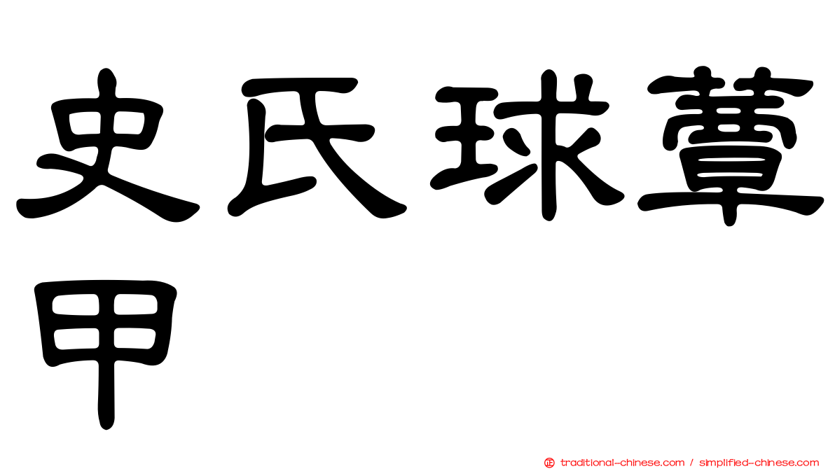 史氏球蕈甲