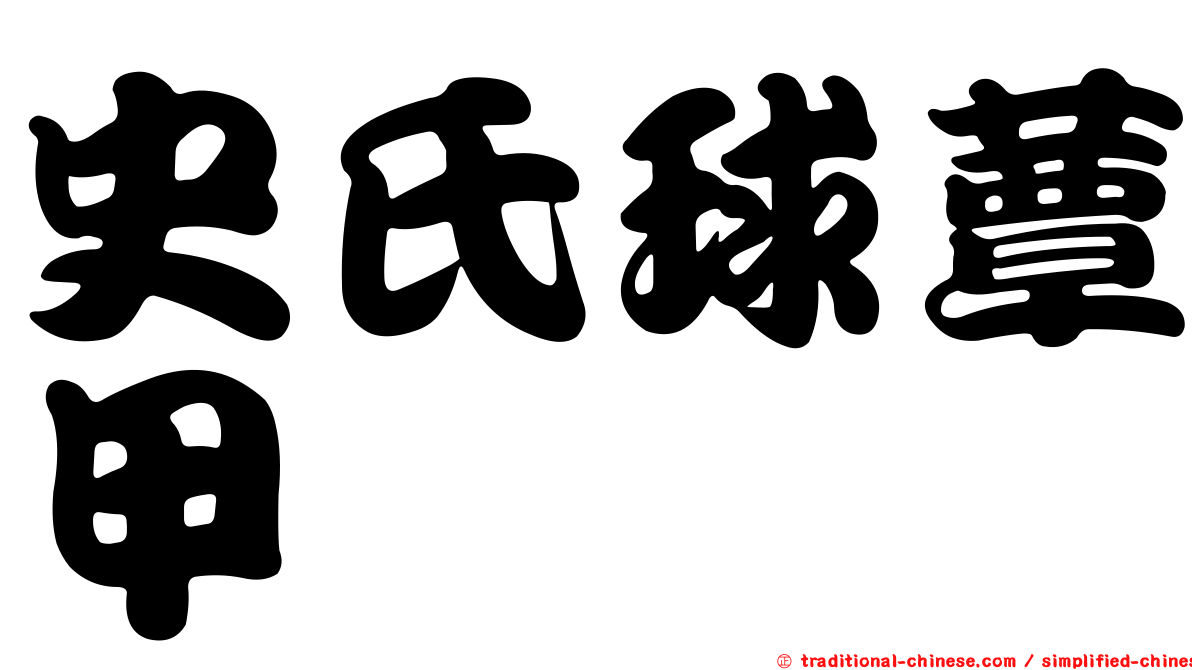 史氏球蕈甲
