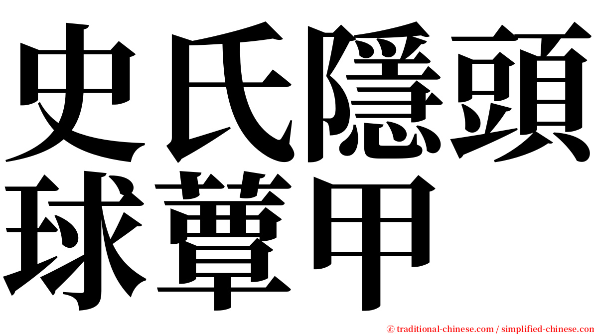 史氏隱頭球蕈甲 serif font
