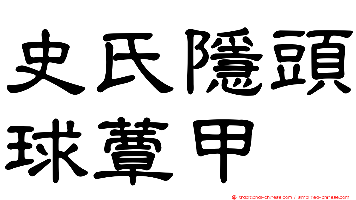 史氏隱頭球蕈甲