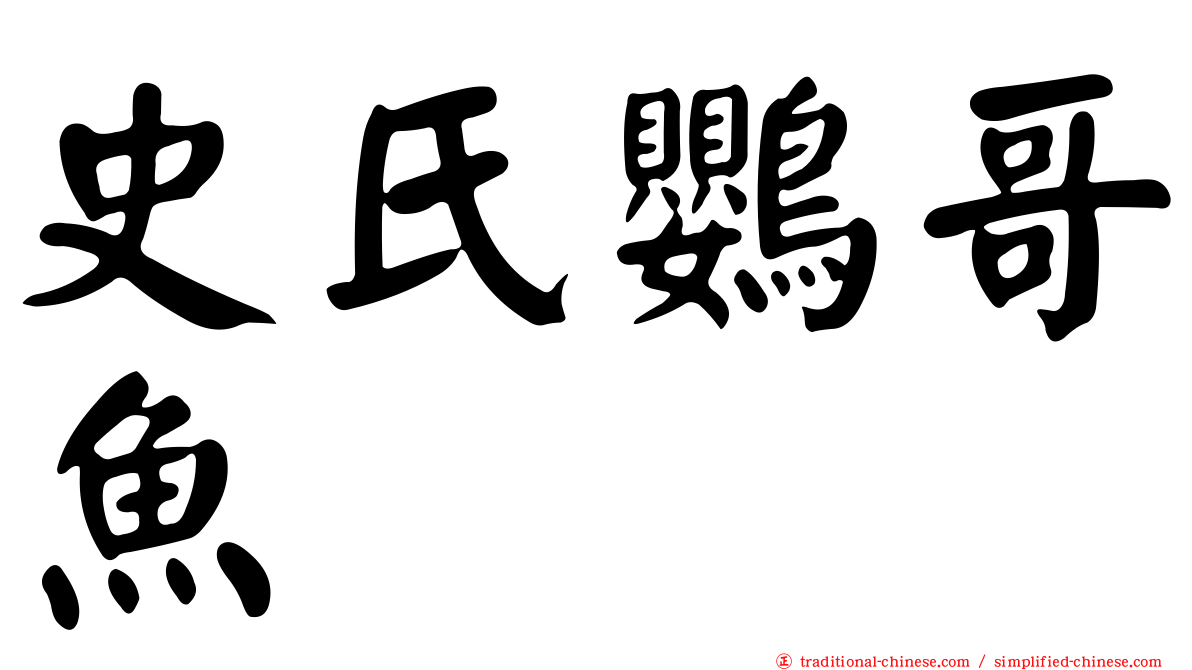史氏鸚哥魚