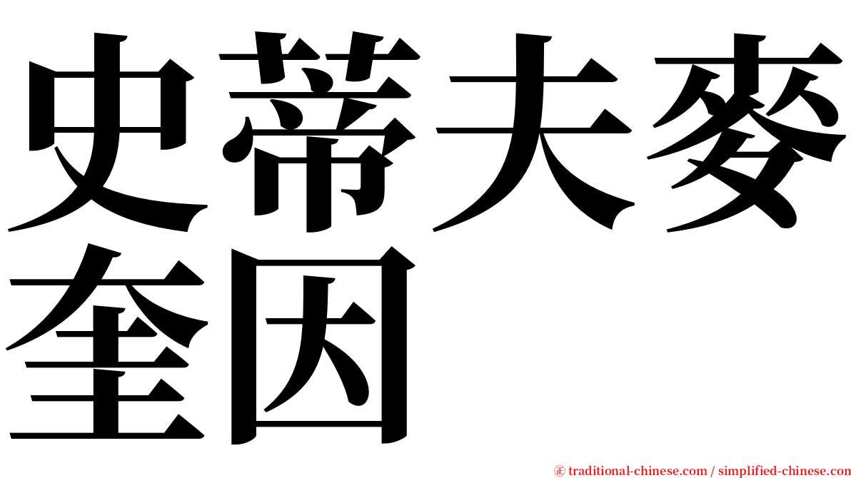 史蒂夫麥奎因 serif font