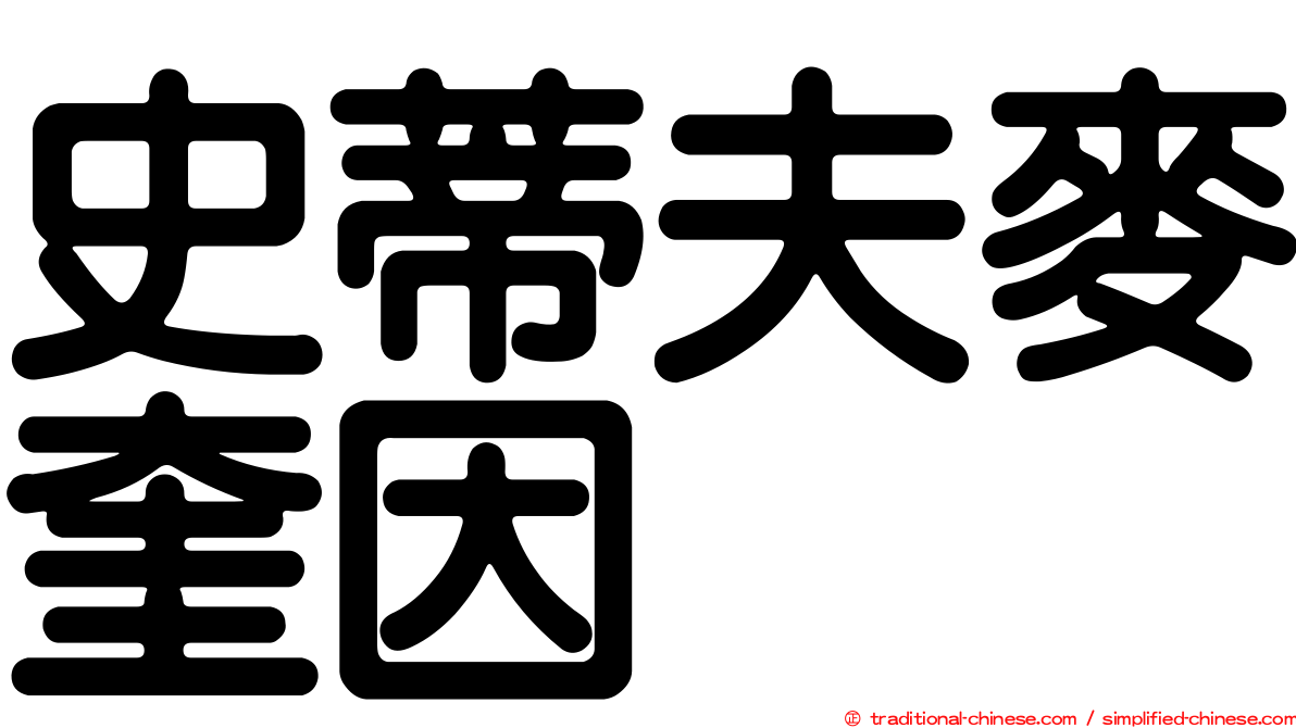 史蒂夫麥奎因