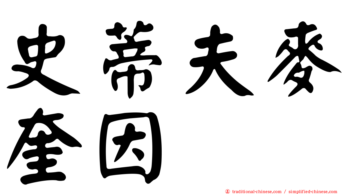 史蒂夫麥奎因