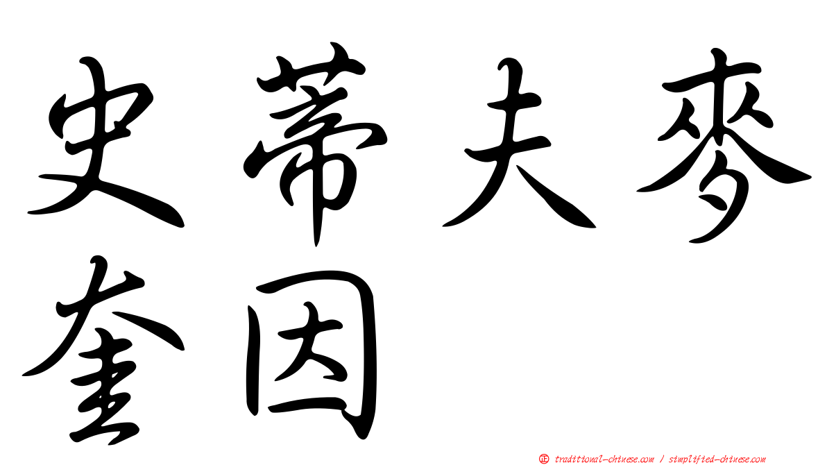 史蒂夫麥奎因