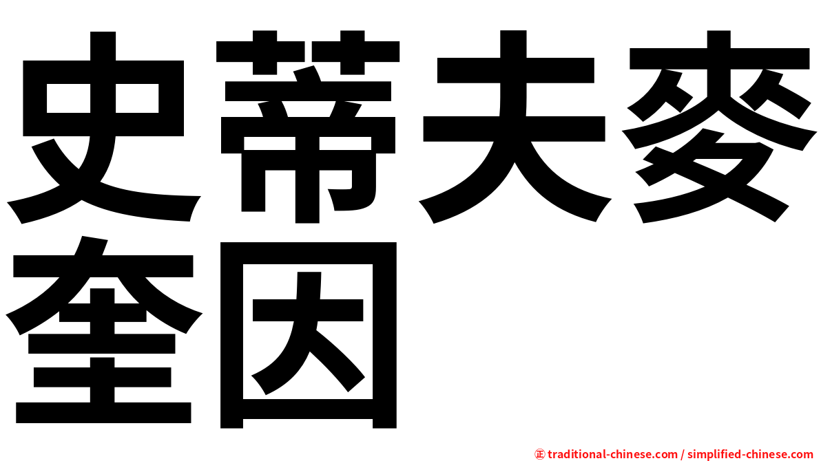 史蒂夫麥奎因