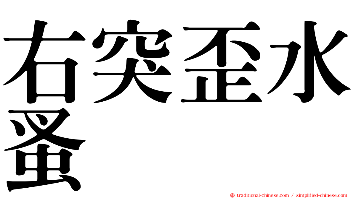 右突歪水蚤