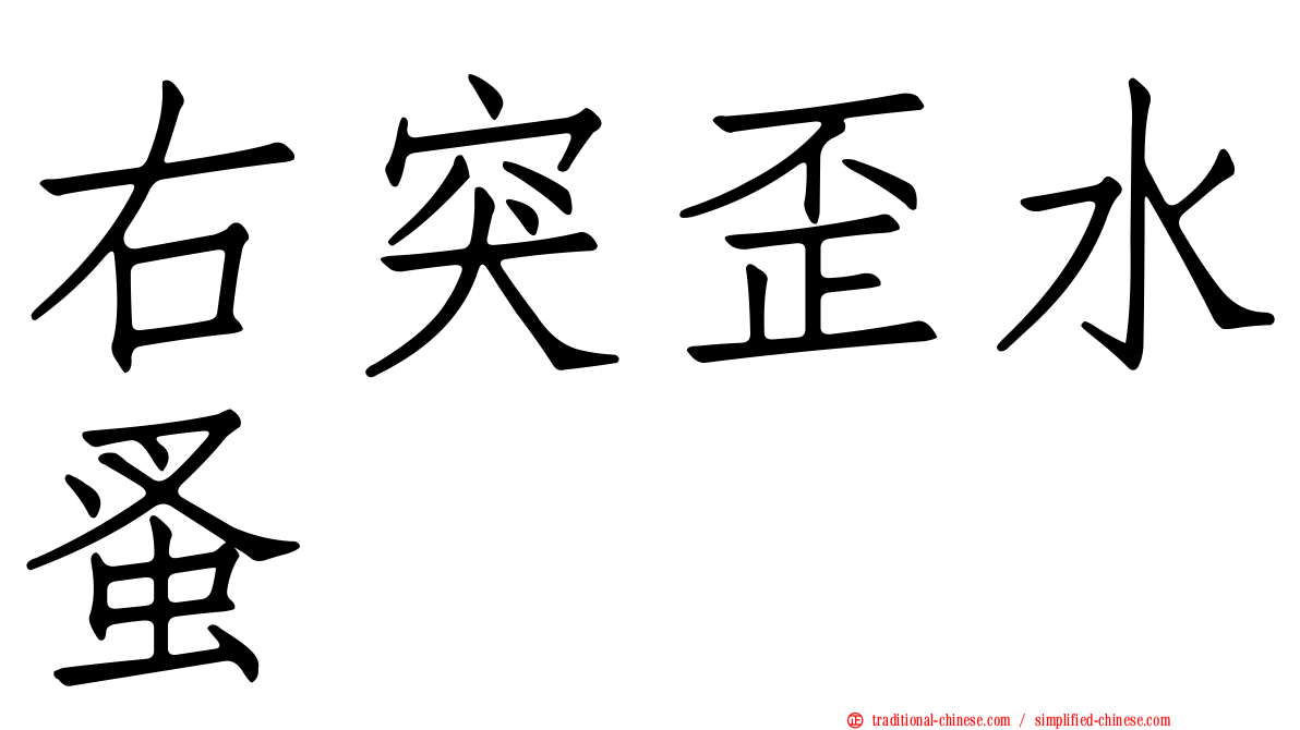 右突歪水蚤