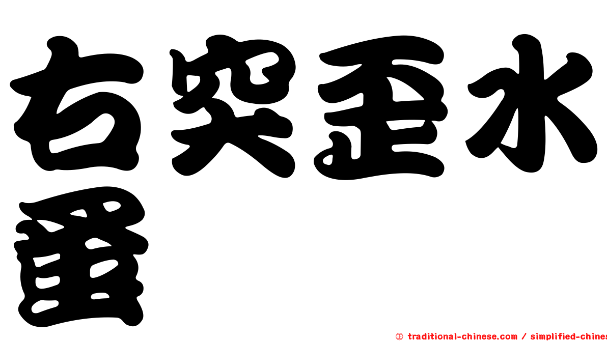 右突歪水蚤