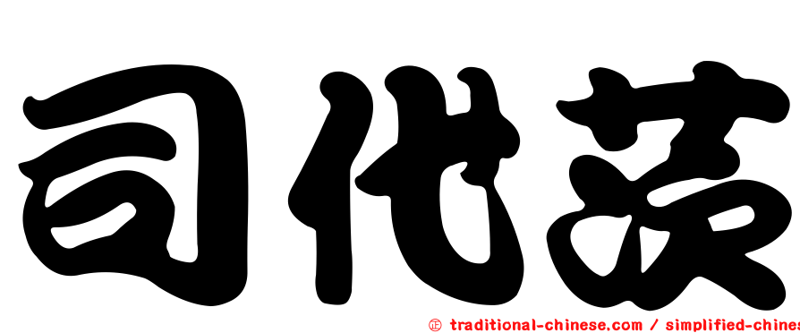 司代茨