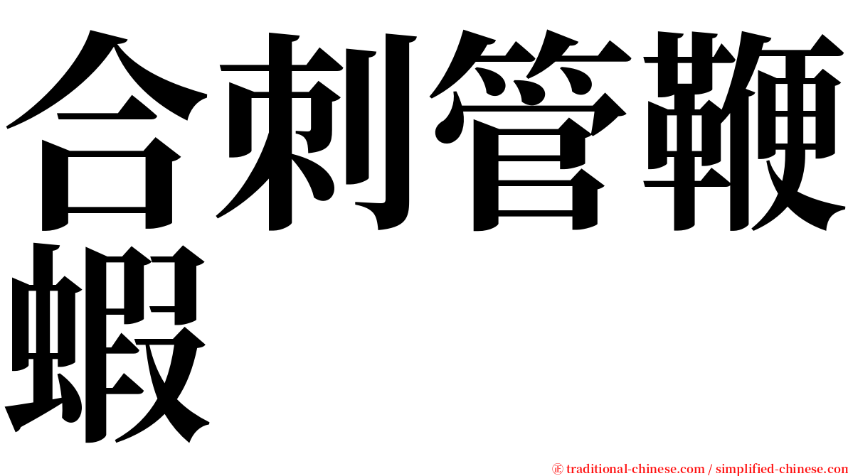 合刺管鞭蝦 serif font