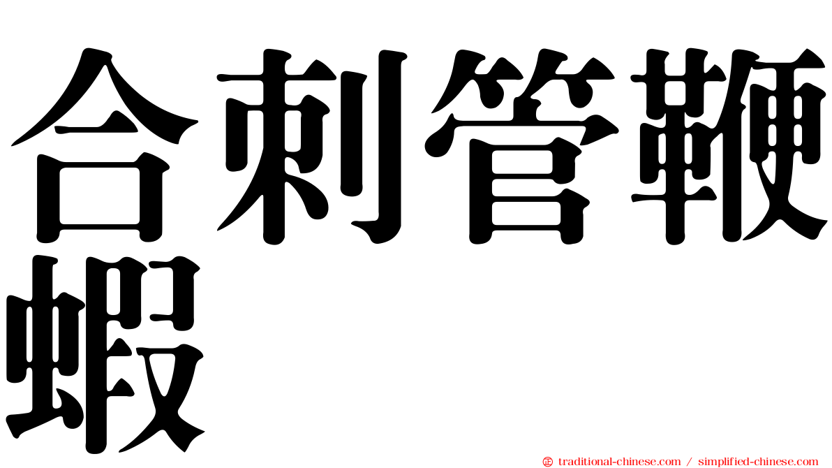 合刺管鞭蝦