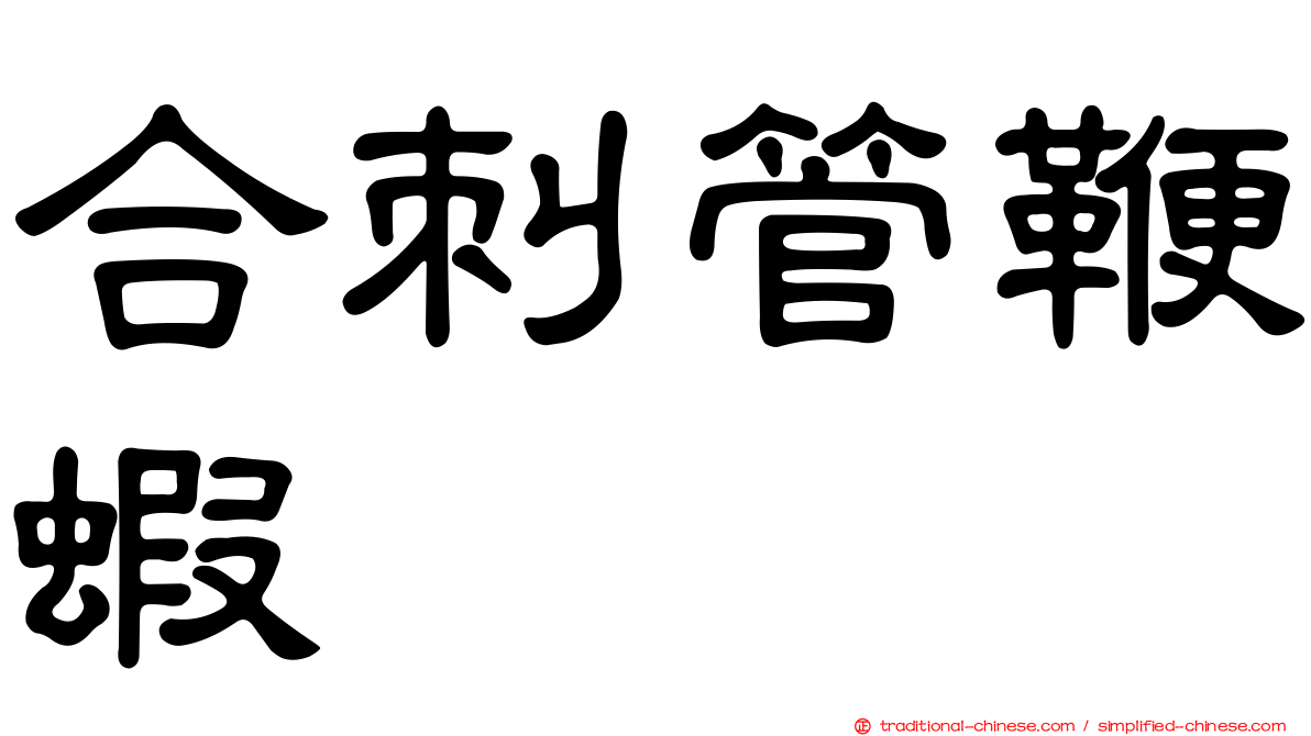 合刺管鞭蝦