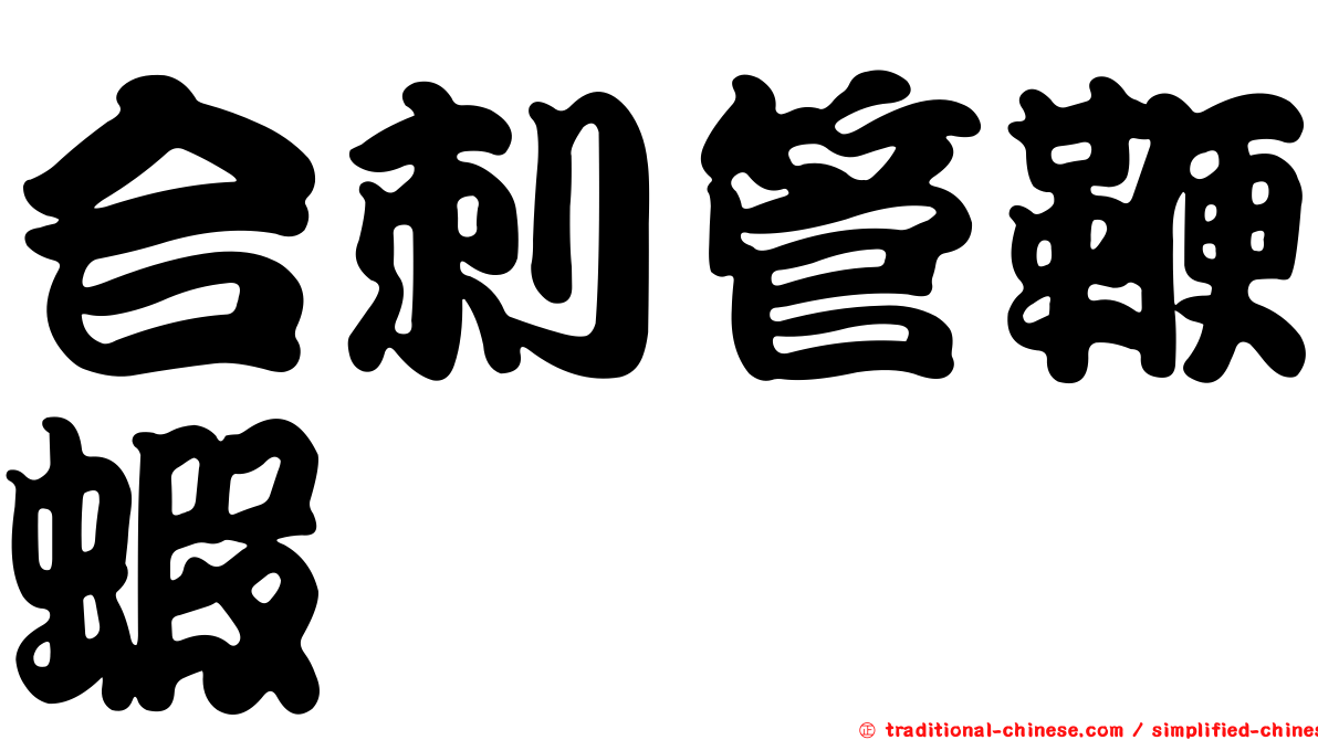 合刺管鞭蝦