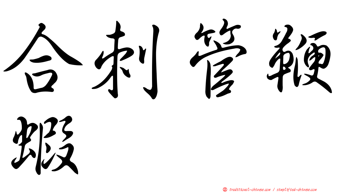 合刺管鞭蝦
