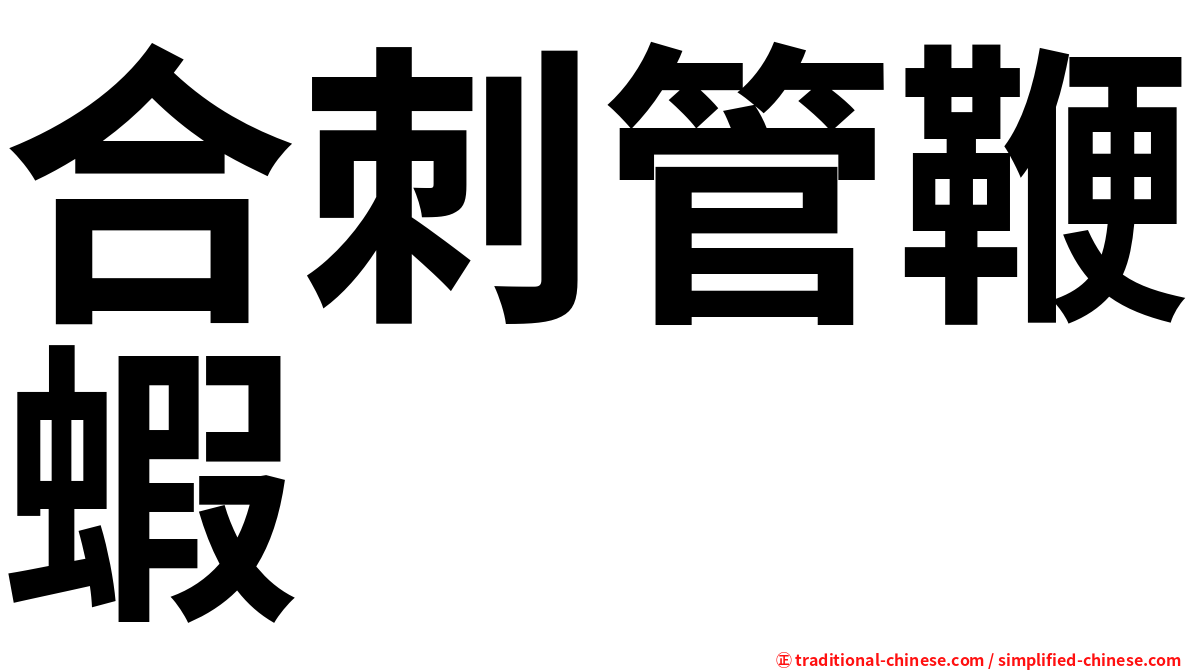 合刺管鞭蝦