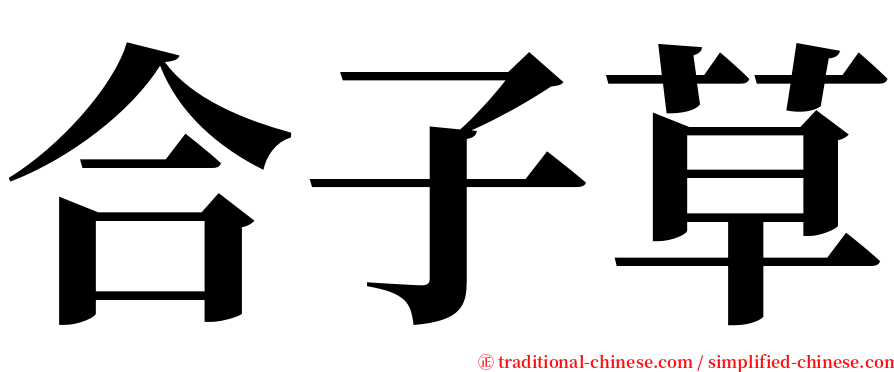 合子草 serif font