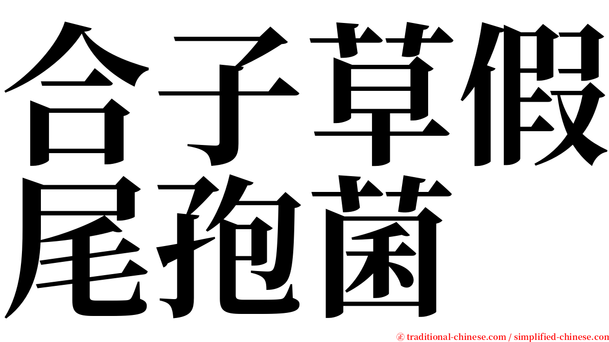 合子草假尾孢菌 serif font