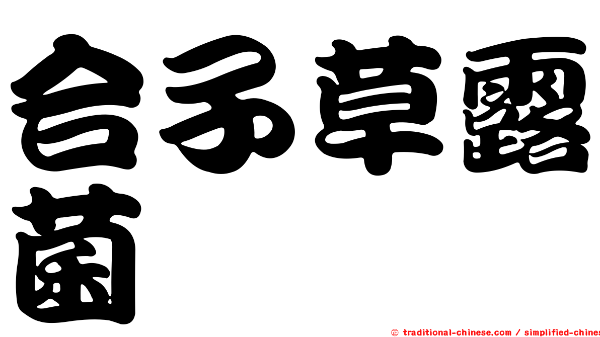 合子草露菌