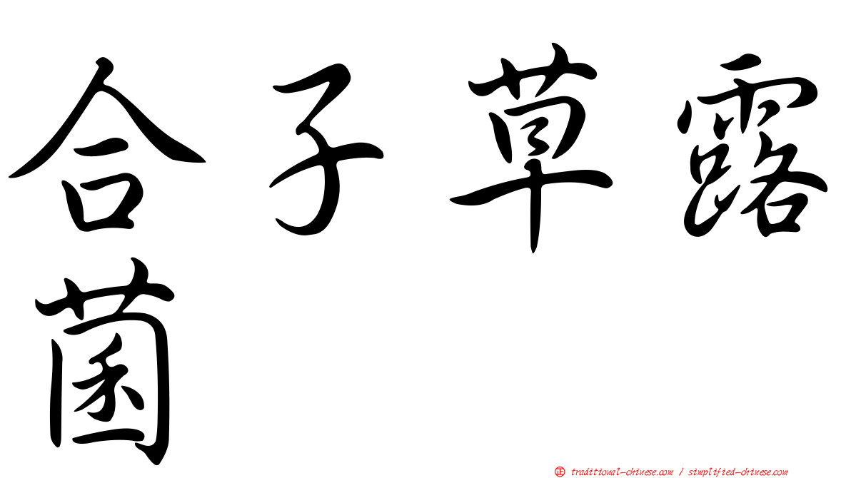 合子草露菌