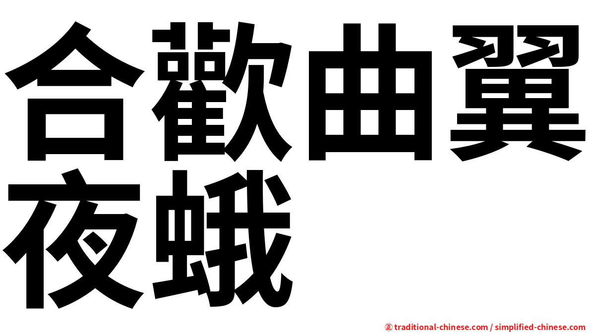 合歡曲翼夜蛾