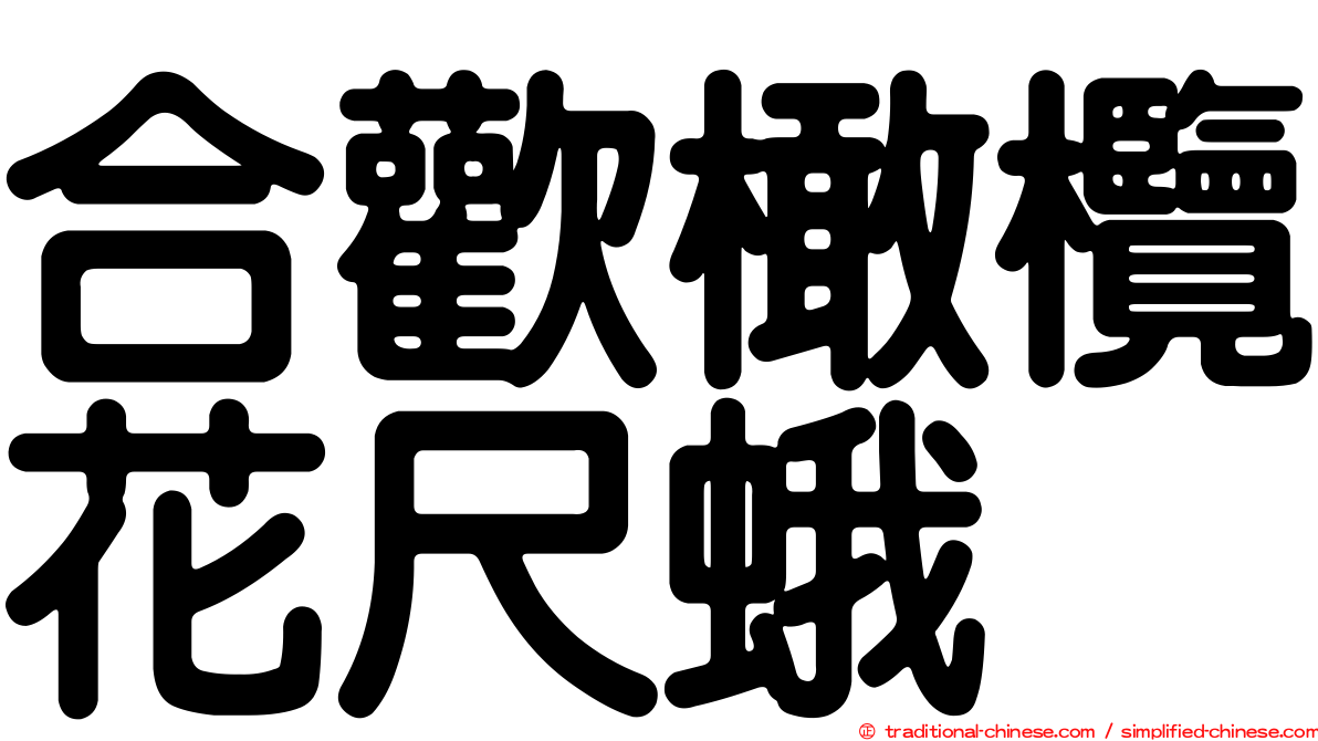 合歡橄欖花尺蛾