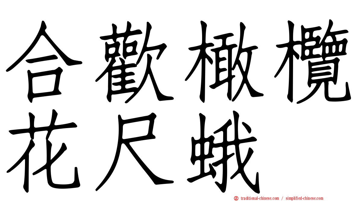 合歡橄欖花尺蛾